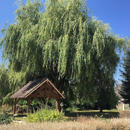 Saint-Pierre-le-Moûtier Charmant T2 Au 1Er Dans Residence Avec Parc Arbore מראה חיצוני תמונה